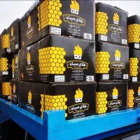 زغال لیمو|عمدهفروشی|دورود, |دیوار