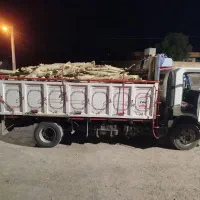 خریدار چوب درخت آکالیپتوس و...