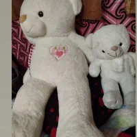 دو عدد خرس کوچک بزرگ|اسباب‌بازی بچه|مبارکه, |دیوار