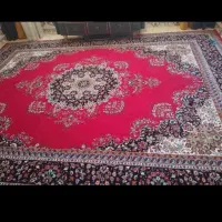 فرش‌درحدنو‌|فرش|قیدار, |دیوار