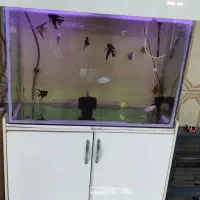 اکواریوم 300لیتر