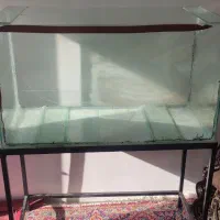 آکواریوم همراه با میز وسایل سنگ و گیاه تزئینی