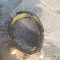 قلاده سگ میخی