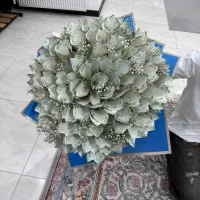 دسته گل پول یک تومنی|گل مصنوعی|محمدشهر, جعفرآباد|دیوار