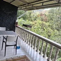 ویلا و سوئیت تراس دار جنگلی تام تام