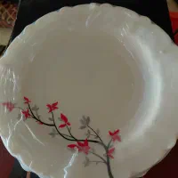 سرویس آرکوپال آلمانی