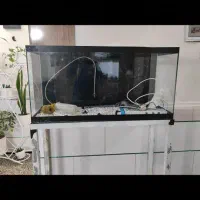 آکواریوم بزرگ با تمامی وسایل