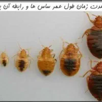 سم پاشی، سمپاشی سوسک، ساس، بید فرش، کنه کبوتر|خدمات نظافت|شیراز, قصرالدشت|دیوار