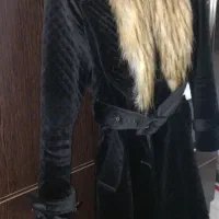 پالتو|لباس|ساری, |دیوار