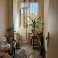 همخونه