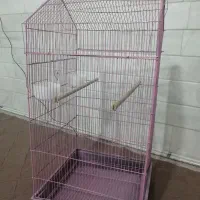 قفس بزرگ و تمییز قیمت عالی|لوازم جانبی حیوانات|قم, صفاشهر|دیوار