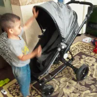 کالسکه هیرو دلیجان در حد نو