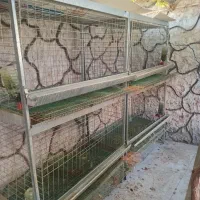 قفس صنعتی تمام گالوانیزه