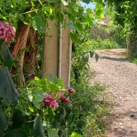 سوئیت و ویلای دوخواب ماسال|اجارهٔ کوتاه‌مدت ویلا و باغ|ماسال, |دیوار