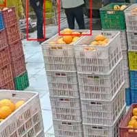 فروش 1000عدد سبد حمال