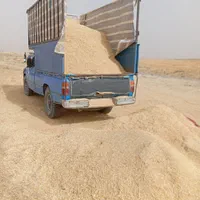 خریدار.کاه نخود
