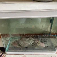 اکواریوم شیشه خم|ماهی|چهاردانگه (تهران), |دیوار