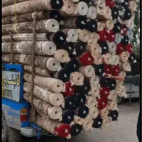 قالیشویی ومبل شویی رفیعی