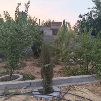 باغ-شهری