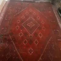 فرش دستبافت|فرش|قم, عربستان|دیوار