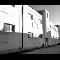 فروش مجتمع گل نرگس خفر