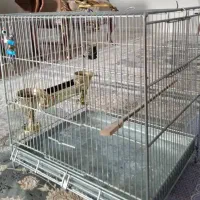 قفس پرنده برند غلامی با لوازم