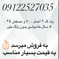 0912.252.7035