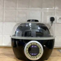 سرخ کن دلمونتی بدون روغن