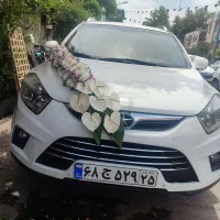 دیزاین و گلکده آغ رز