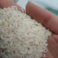 برنج علی کاظمی وشمال