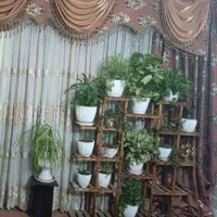 فروش استند گل