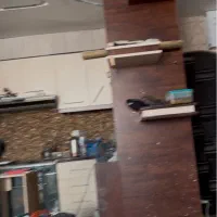 کابینت ام دی اف|مصالح و تجهیزات ساختمان|شیراز, ارم|دیوار