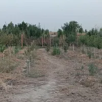 فروش باغ و باغچه ۹۳۰ متری آزادگان پلایین سندتک برگ|فروش دفتر صنعتی، کشاورزی، تجاری|تهران, کریم‌آباد|دیوار