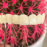 دندان سازی|خدمات آرایشگری و زیبایی|خوی, |دیوار