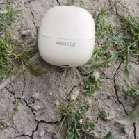 یک جفت ارپاد در حد نو