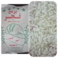 برنج محلی فجر