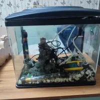 آکواریوم شیشه خم در ورامین|ماهی|ری, شهادت|دیوار