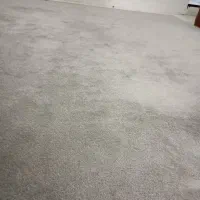 موکت پالاز