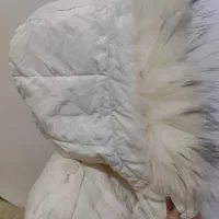 کاپشن|لباس|برازجان, |دیوار