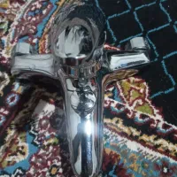 یک عدد شیرزنان درحدنو