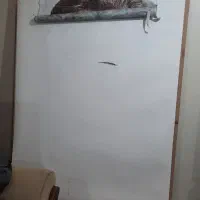 تخته نقاشی بزرگ