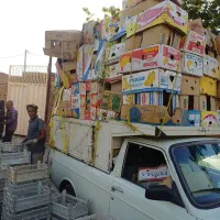 باربری پیکان بار|خدمات حمل و نقل|بناب, |دیوار