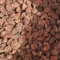 کشمش آفتابی