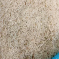 برنج الموت ،شمال