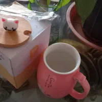 ماگِ سرامیکِ طرح گربه با درب چوبیِ نَشکَن|ظروف سرو و پذیرایی|تهران, مهرآباد|دیوار