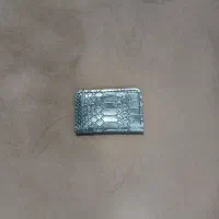 کارت ملی و بانکی پیدا شده