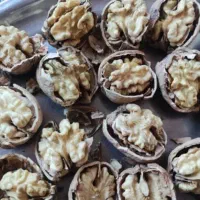 گردوی کاغذی|خوردنی و آشامیدنی|سردشت, |دیوار