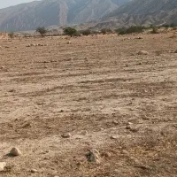 اجاره زمین بارانی