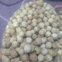 فروش‌لیموخشک‌زیرقیمت.خشک‌خشک‌به‌شرط.وکاملااورگانیک