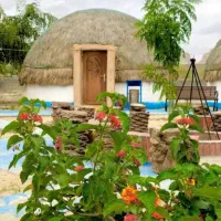 گرد توپ|خدمات پیشه و مهارت|خاش, |دیوار